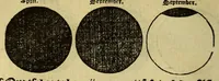 Picture 9 of 24 from Cosmographie, oft Beschrijuinghe der gheheelder werelt van Petrus Apianus, derdewerf ghecorrigeert van Gemma Frisio ... Metten zeecompasse ende anderen boecxkens byden selve[n] Gemma daer toegedaen (1561), leaf 34