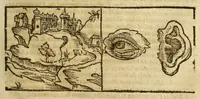 Picture 4 of 48 from Cosmographie, ou Description des quatre parties du monde, contenant la situation, diuision, & estendue de chascune region & prouince d'icelles, (1581), leaf 17