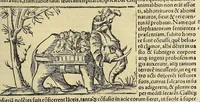 Picture 41 of 50 from Cosmographiæ uniuersalis lib. VI. in quibus iuxta certioris fidei scriptorum traditionem describuntur, omnium habitabilis orbis partium situs, propriæq[ue] dotes. regionum topographicæ effigies ... (1554), leaf 1089