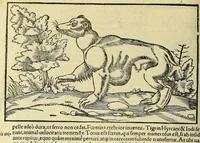 Picture 44 of 50 from Cosmographiæ uniuersalis lib. VI. in quibus iuxta certioris fidei scriptorum traditionem describuntur, omnium habitabilis orbis partium situs, propriæq[ue] dotes. regionum topographicæ effigies ... (1554), leaf 1146