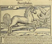 Picture 46 of 50 from Cosmographiæ uniuersalis lib. VI. in quibus iuxta certioris fidei scriptorum traditionem describuntur, omnium habitabilis orbis partium situs, propriæq[ue] dotes. regionum topographicæ effigies ... (1554), leaf 1171