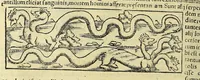 An illustration from Cosmographiæ uniuersalis lib. VI. in quibus iuxta certioris fidei scriptorum traditionem describuntur, omnium habitabilis orbis partium situs, propriæq[ue] dotes. regionum topographicæ effigies ... (1554)
