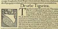 An illustration from Cosmographiæ uniuersalis lib. VI. in quibus iuxta certioris fidei scriptorum traditionem describuntur, omnium habitabilis orbis partium situs, propriæq[ue] dotes. regionum topographicæ effigies ... (1554)