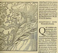 An illustration from Cosmographiæ uniuersalis lib. VI. in quibus iuxta certioris fidei scriptorum traditionem describuntur, omnium habitabilis orbis partium situs, propriæq[ue] dotes. regionum topographicæ effigies ... (1554)