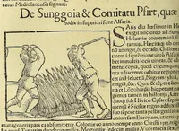 Picture 19 of 50 from Cosmographiæ uniuersalis lib. VI. in quibus iuxta certioris fidei scriptorum traditionem describuntur, omnium habitabilis orbis partium situs, propriæq[ue] dotes. regionum topographicæ effigies ... (1554), leaf 514