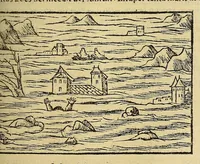 An illustration from Cosmographiæ uniuersalis lib. VI. in quibus iuxta certioris fidei scriptorum traditionem describuntur, omnium habitabilis orbis partium situs, propriæq[ue] dotes. regionum topographicæ effigies ... (1554)