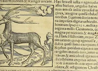 An illustration from Cosmographiæ uniuersalis lib. VI. in quibus iuxta certioris fidei scriptorum traditionem describuntur, omnium habitabilis orbis partium situs, propriæq[ue] dotes. regionum topographicæ effigies ... (1554)