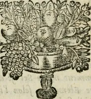 An illustration from Cosmopolite, ov, Novvelle lvmiere chymique : divisée en douse traitez, avec un dialogue du Mercure, de l'Alchymiste, & de la Nature : reveuz & fidelement corrigez sur les plus anciens exemplaires (1669)