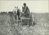 An illustration from The cost of producing cotton : 842 records, 1918 (1920)