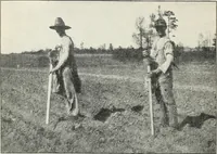 An illustration from The cost of producing cotton : 842 records, 1918 (1920)