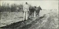 Picture 10 of 14 from The cost of producing cotton : 842 records, 1918 (1920), leaf 30