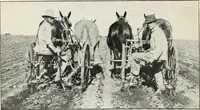 An illustration from The cost of producing cotton : 842 records, 1918 (1920)
