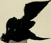 An illustration from Costume design and illustration (1918)