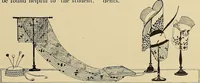 An illustration from Costume design and illustration (1918)