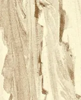 Picture 7 of 77 from Costume: fanciful, historical, and theatrical (1906), leaf 40