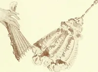 Picture 33 of 77 from Costume: fanciful, historical, and theatrical (1906), leaf 99
