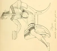 An illustration from The costume of the ancients (1875)