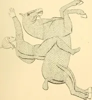 An illustration from The costume of the ancients (1875)