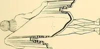Picture 77 of 236 from The costume of the ancients (1875), leaf 136