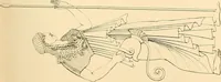 An illustration from The costume of the ancients (1875)