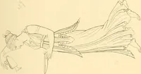 An illustration from The costume of the ancients (1875)