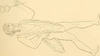 An illustration from The costume of the ancients (1875)