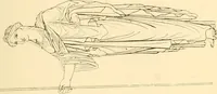 Picture 99 of 236 from The costume of the ancients (1875), leaf 154