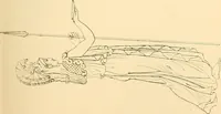 An illustration from The costume of the ancients (1875)