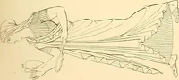 Picture 104 of 236 from The costume of the ancients (1875), leaf 158