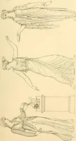An illustration from The costume of the ancients (1875)