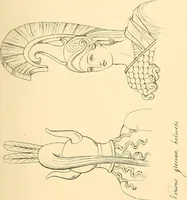 An illustration from The costume of the ancients (1875)
