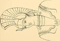 An illustration from The costume of the ancients (1875)