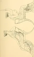 An illustration from The costume of the ancients (1875)