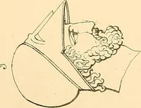 An illustration from The costume of the ancients (1875)