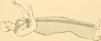 Picture 11 of 236 from The costume of the ancients (1875), leaf 60