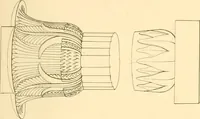 An illustration from The costume of the ancients (1875)