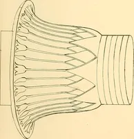 An illustration from The costume of the ancients (1875)