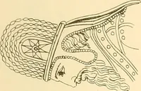 An illustration from The costume of the ancients (1875)