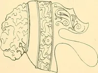 Picture 41 of 236 from The costume of the ancients (1875), leaf 90