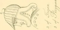 Picture 47 of 236 from The costume of the ancients (1875), leaf 96