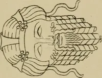 An illustration from The costume of the ancients (1875)