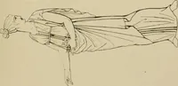 An illustration from The costume of the ancients (1875)