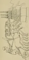 An illustration from The costume of the ancients (1875)