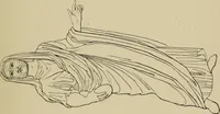 An illustration from The costume of the ancients (1875)