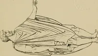 An illustration from The costume of the ancients (1875)