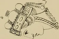 An illustration from The costume of the ancients (1875)
