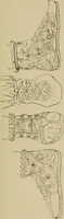An illustration from The costume of the ancients (1875)