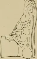 An illustration from The costume of the ancients (1875)