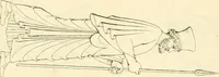 An illustration from Costume of the ancients (1812)
