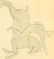 An illustration from Costume of the ancients (1812)
